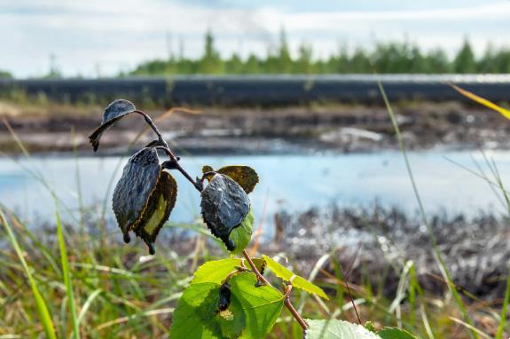 generalinstruments.com.br/ generalinstruments.com.br/