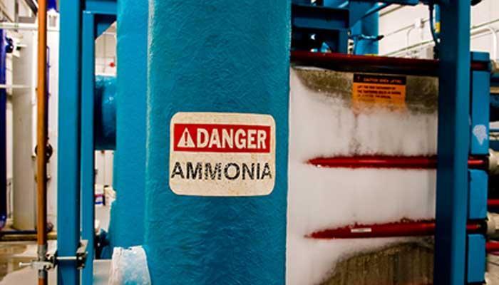 Quais são os principais perigos da amônia?