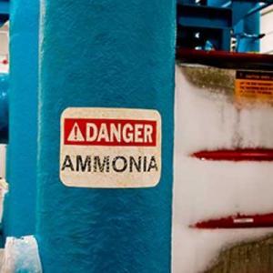 Quais são os principais perigos da amônia?